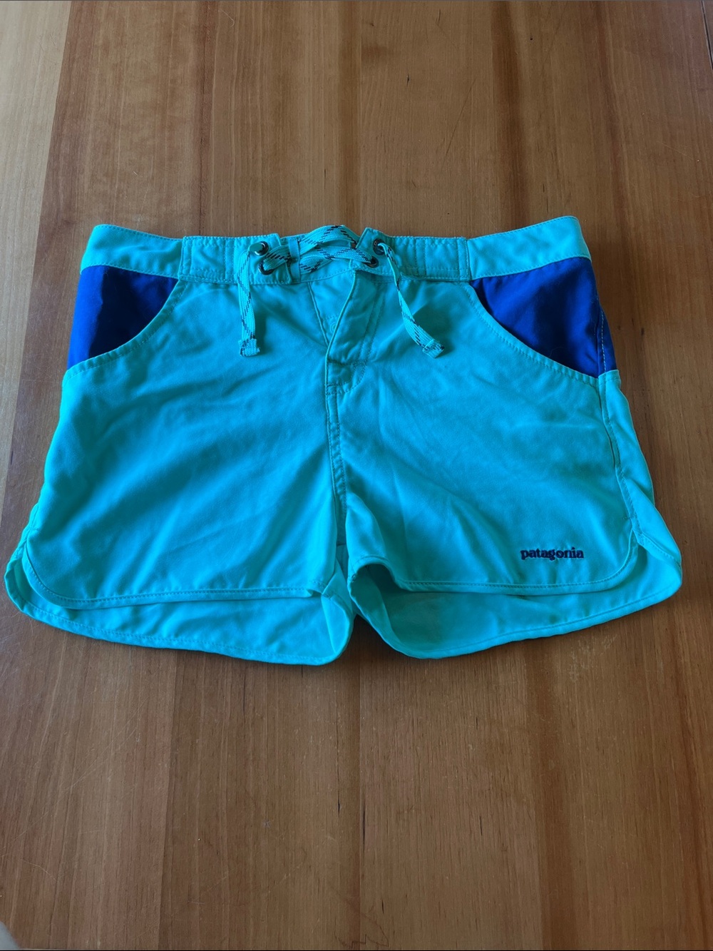 Patagonia Turquoise Shorts